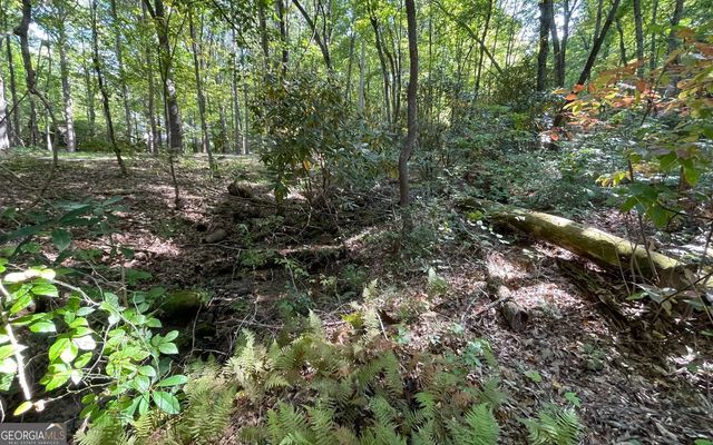 LOT 22 High Meadows, Hayesville, NC 28904