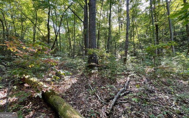 LOT 22 High Meadows, Hayesville, NC 28904