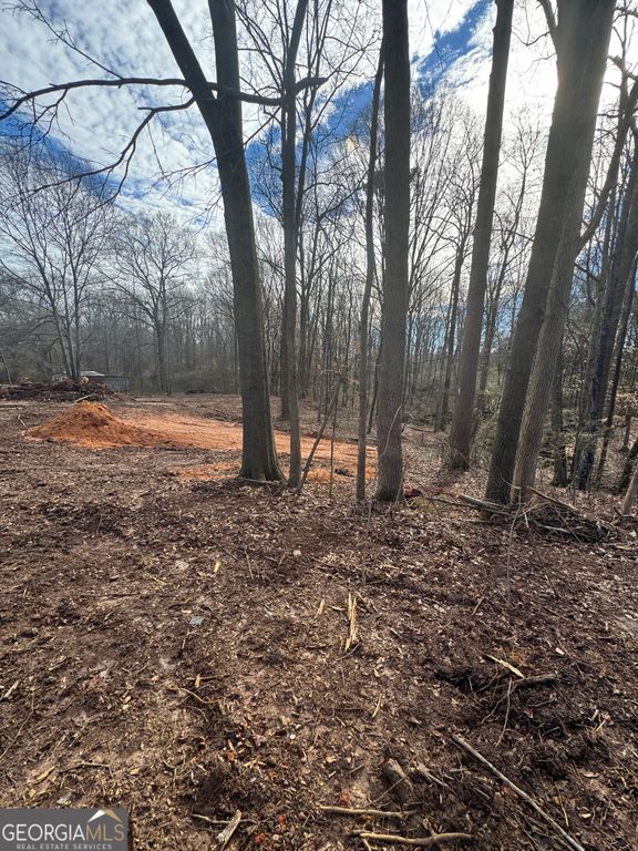 231 Roosevelt Circle, Bowman, GA 30624 — photo 4