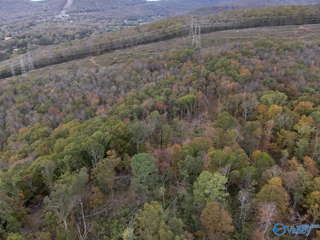 930 Dug Hill Road, Brownsboro, AL 35741