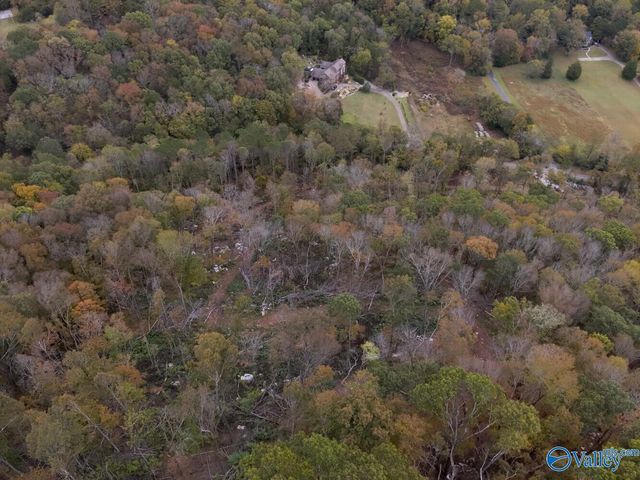 930 Dug Hill Road, Brownsboro, AL 35741