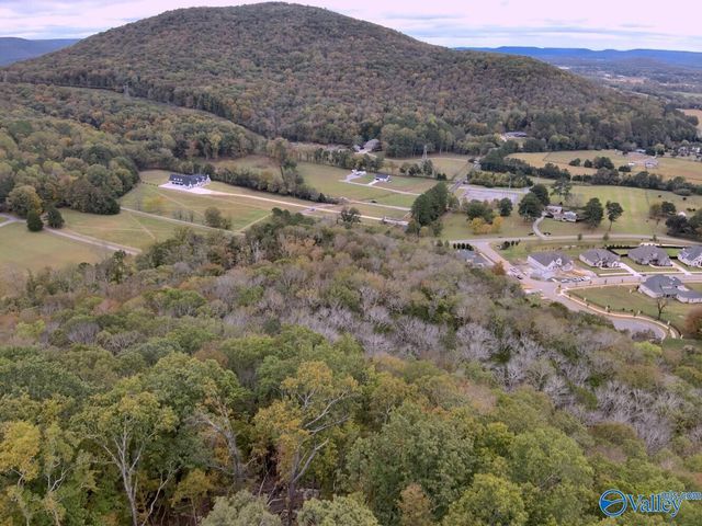 930 Dug Hill Road, Brownsboro, AL 35741