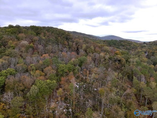 930 Dug Hill Road, Brownsboro, AL 35741