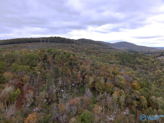 930 Dug Hill Road, Brownsboro, AL 35741