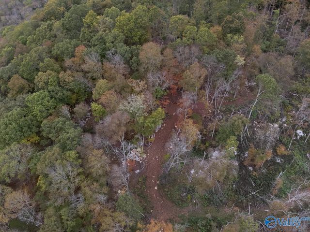 930 Dug Hill Road, Brownsboro, AL 35741