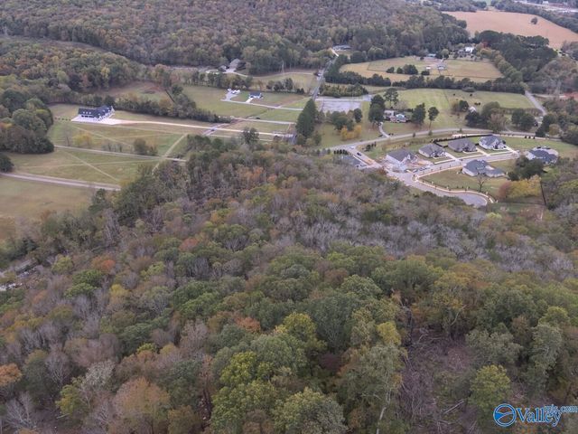 930 Dug Hill Road, Brownsboro, AL 35741
