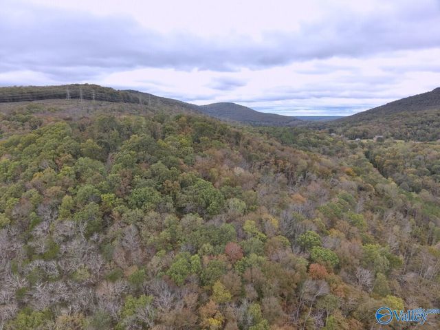 930 Dug Hill Road, Brownsboro, AL 35741