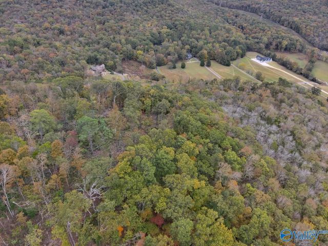 930 Dug Hill Road, Brownsboro, AL 35741