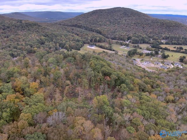 930 Dug Hill Road, Brownsboro, AL 35741