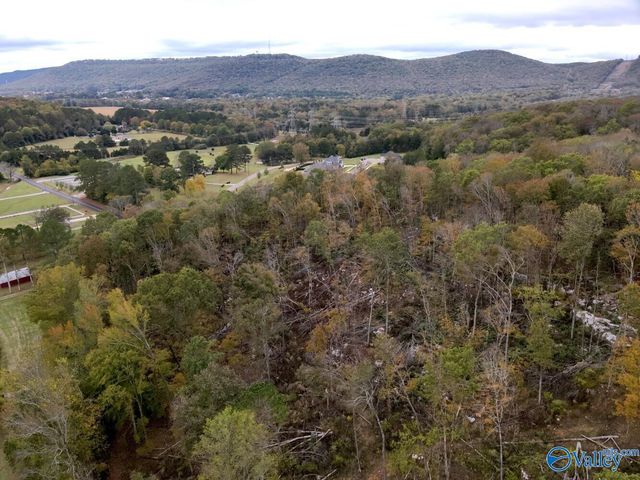 930 Dug Hill Road, Brownsboro, AL 35741