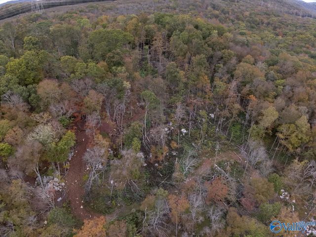 930 Dug Hill Road, Brownsboro, AL 35741