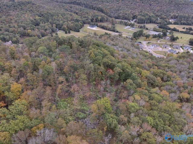 930 Dug Hill Road, Brownsboro, AL 35741