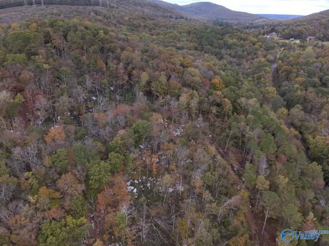 930 Dug Hill Road, Brownsboro, AL 35741