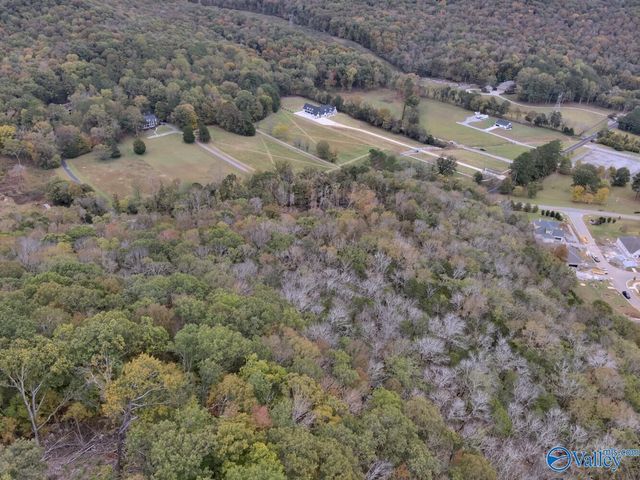 930 Dug Hill Road, Brownsboro, AL 35741