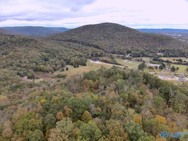 930 Dug Hill Road, Brownsboro, AL 35741