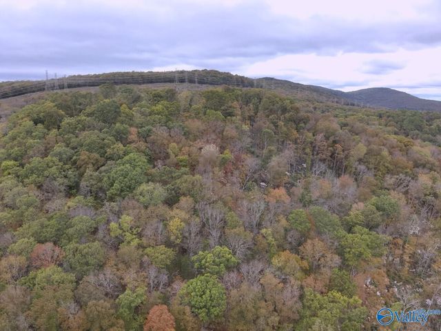 930 Dug Hill Road, Brownsboro, AL 35741