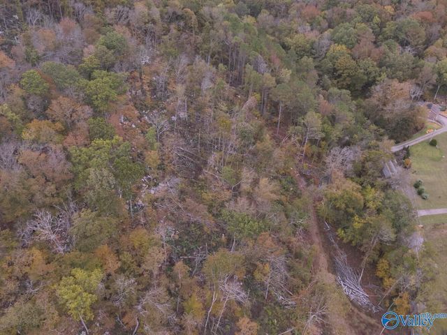 930 Dug Hill Road, Brownsboro, AL 35741