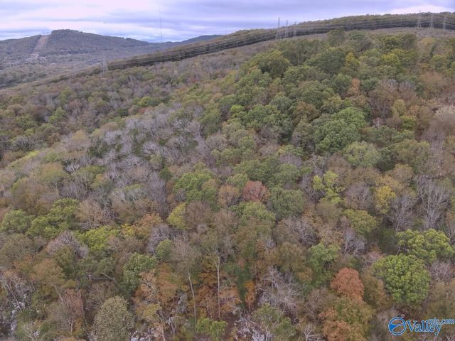 930 Dug Hill Road, Brownsboro, AL 35741