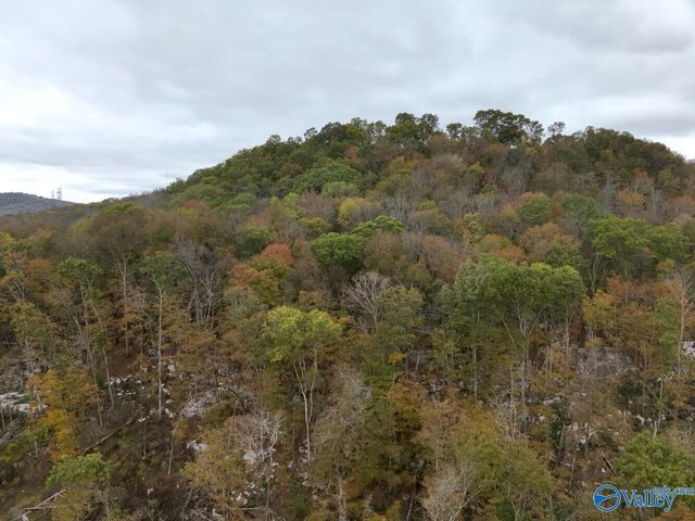 930 Dug Hill Road, Brownsboro, AL 35741