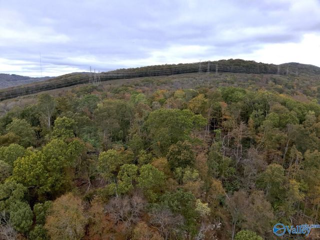 930 Dug Hill Road, Brownsboro, AL 35741