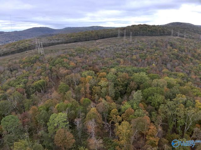 930 Dug Hill Road, Brownsboro, AL 35741