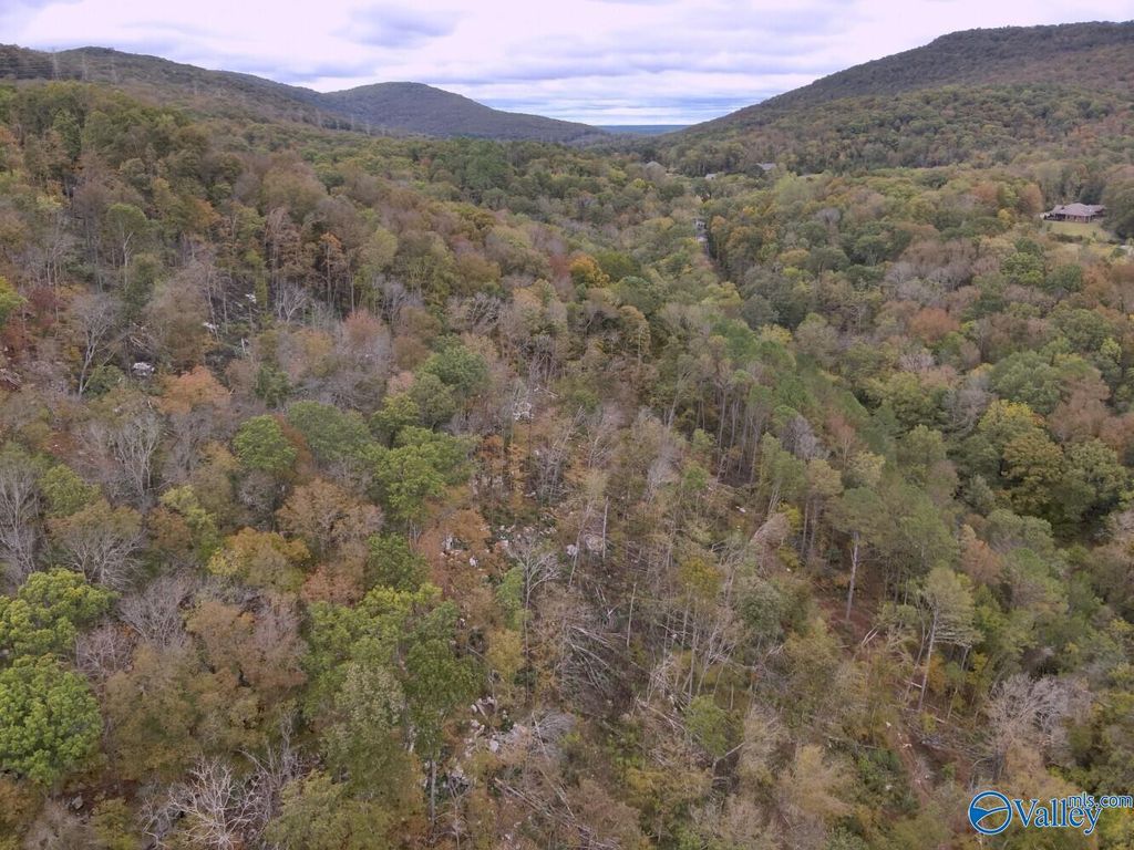 930 Dug Hill Road, Brownsboro, AL 35741
