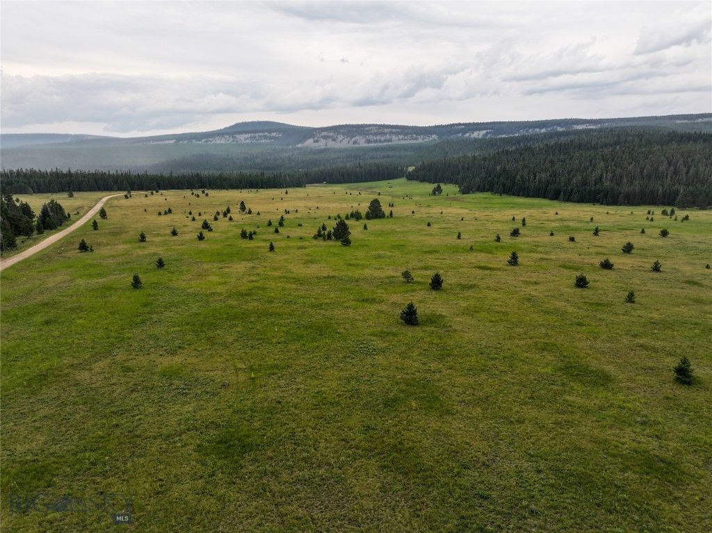 TBD Divide Road, Neihart, MT 59465 photo 10