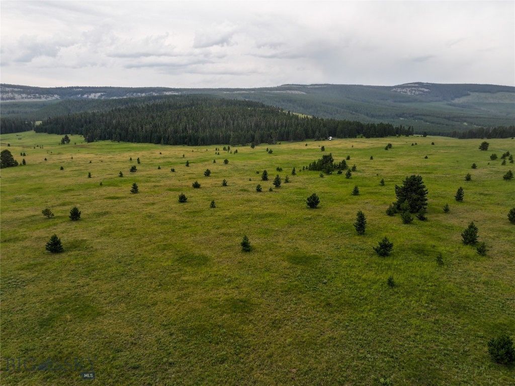 TBD Divide Road, Neihart, MT 59465 photo 9