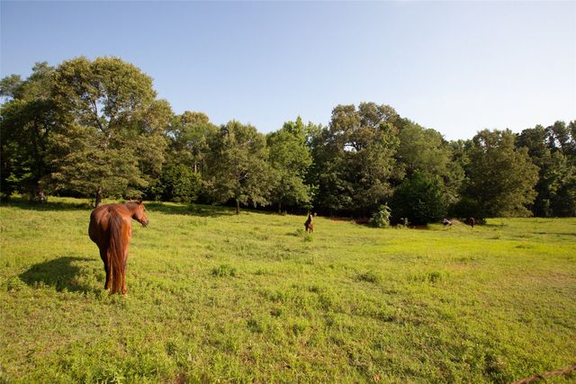1211 AN County Road 153, Palestine, TX 75801