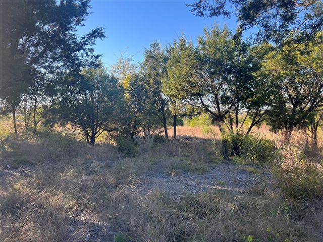 1000 Carsyn Creek Road, Weatherford, TX 76087