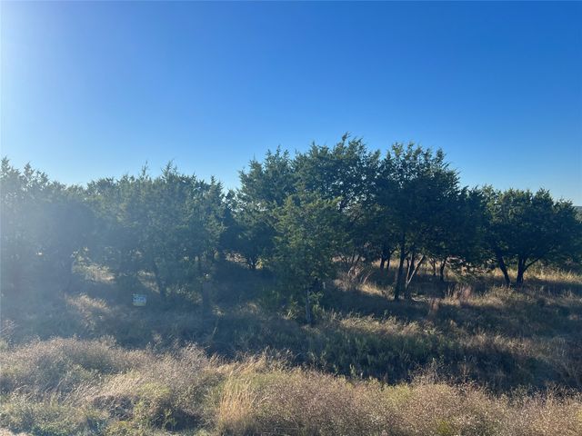 1000 Carsyn Creek Road, Weatherford, TX 76087