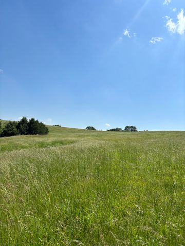 348 Holt Springs Rd Road, Marionville, MO 65705
