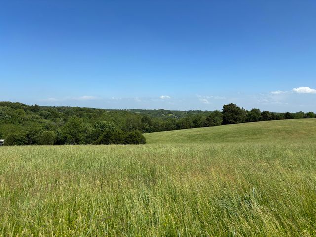 348 Holt Springs Rd Road, Marionville, MO 65705