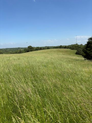 348 Holt Springs Rd Road, Marionville, MO 65705