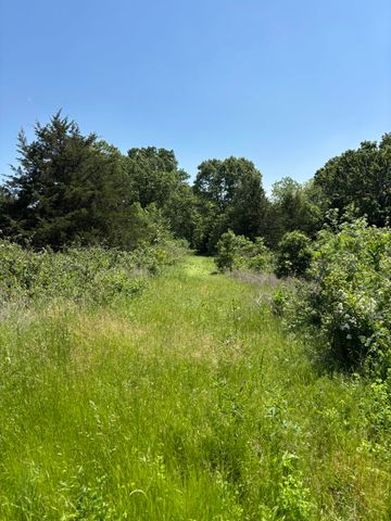 348 Holt Springs Rd Road, Marionville, MO 65705