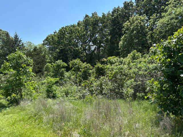 348 Holt Springs Rd Road, Marionville, MO 65705
