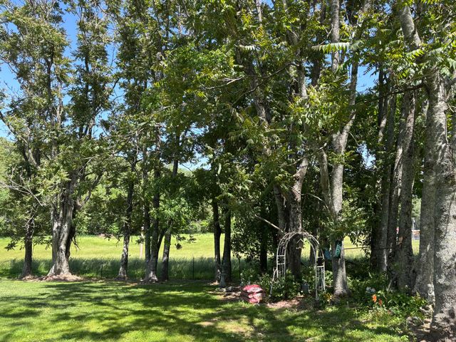 348 Holt Springs Rd Road, Marionville, MO 65705