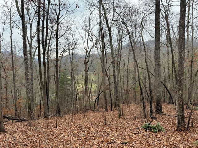 0 Flaming Ridge, Hayesville, NC 28905