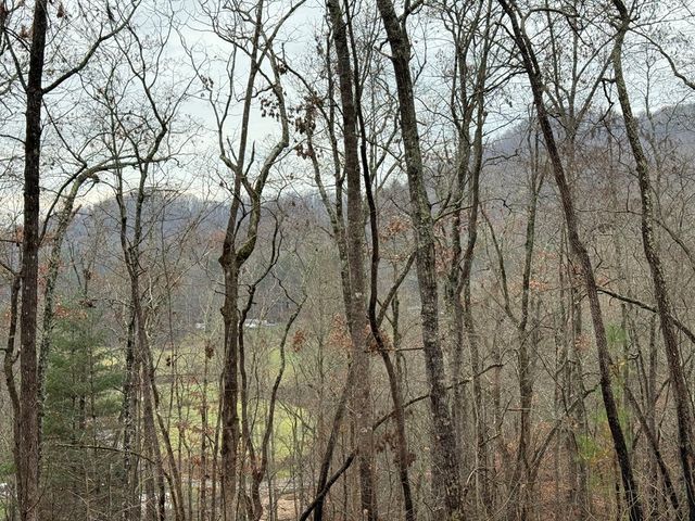 0 Flaming Ridge, Hayesville, NC 28905