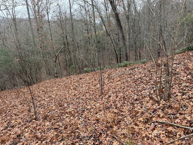 0 Flaming Ridge, Hayesville, NC 28905