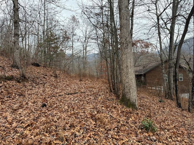 0 Flaming Ridge, Hayesville, NC 28905