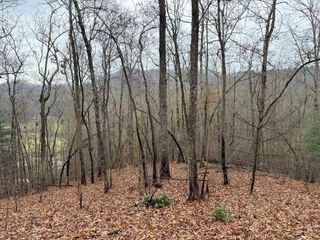0 Flaming Ridge, Hayesville, NC 28905