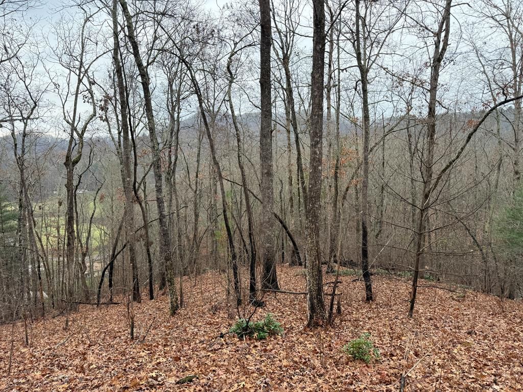 0 Flaming Ridge, Hayesville, NC 28905