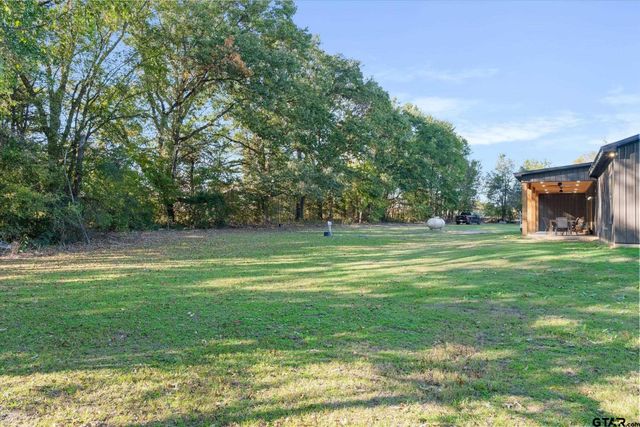 250 VZ County Road 4301, Ben Wheeler, TX 75754