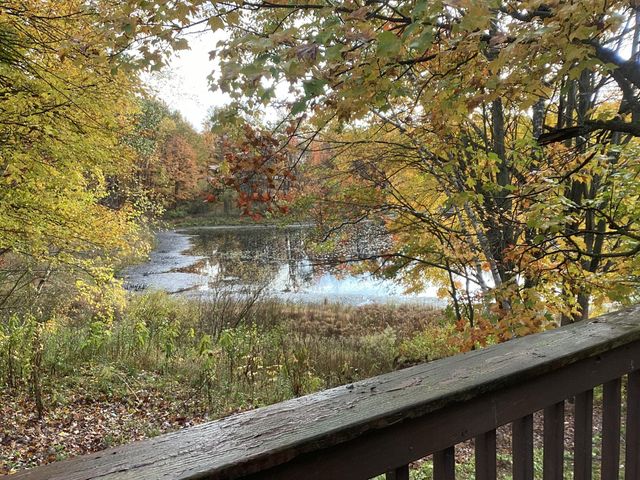 313 Eastland Drive, Rose Lake Twp, MI 49655