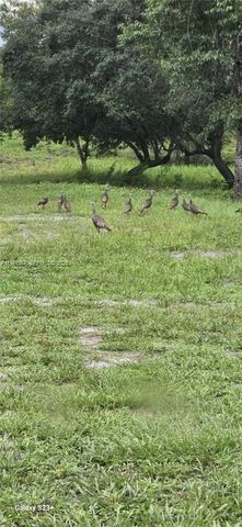 40140 SWIFT RD, Other City - In The State Of Florida, FL 32736