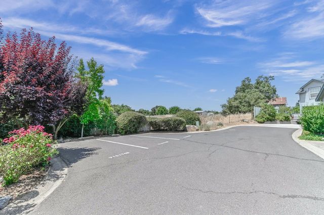 1145 Annalee Ct, Angels Camp, CA 95222