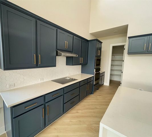 17116 Wind Chime DR, Manor, TX 78653
