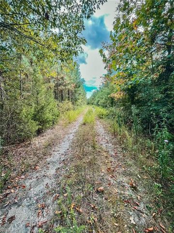 20 Brewers Neck BLVD, Carrollton, VA 23314