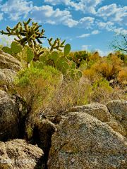 30503 S Charles Road # 25, Oracle, AZ 85623